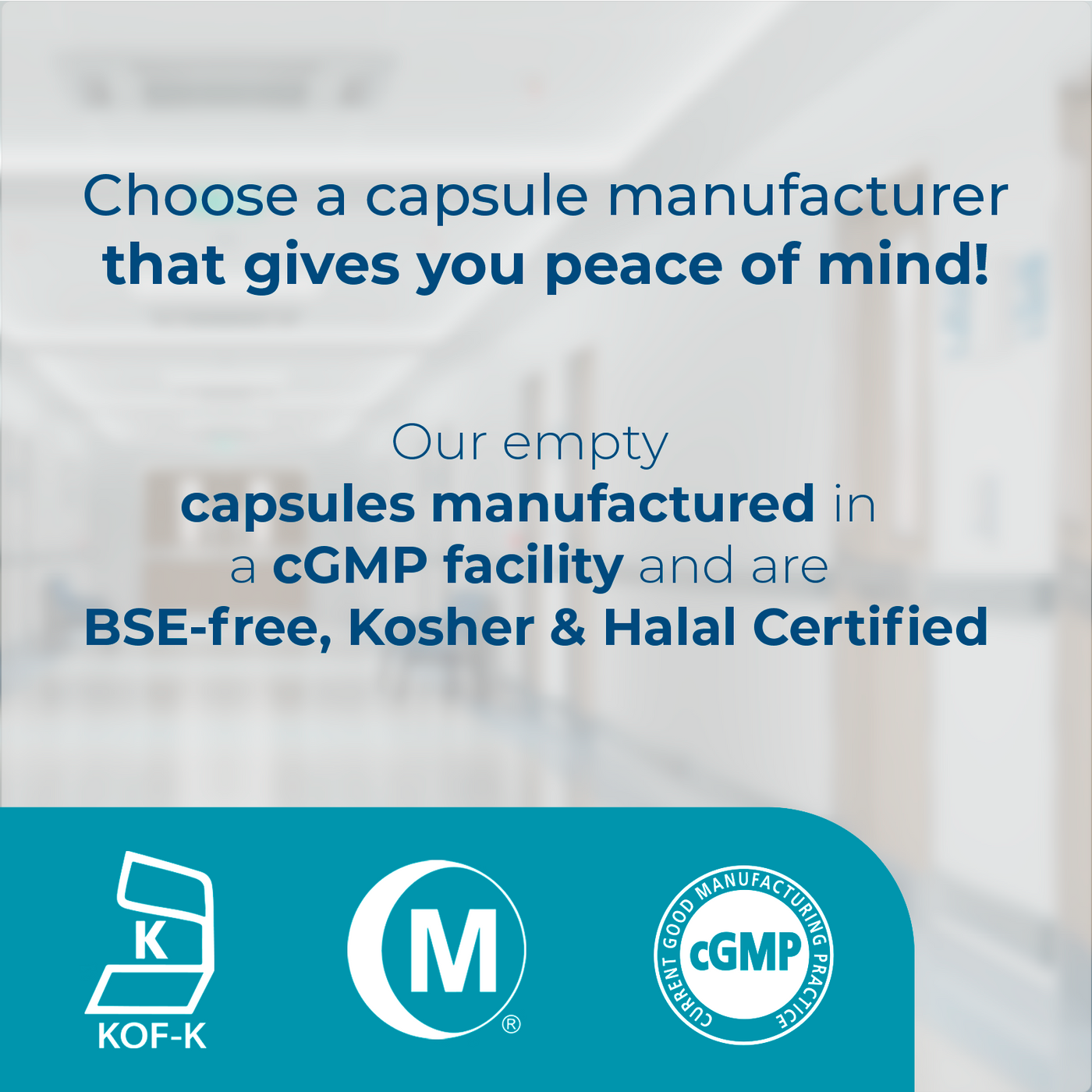 Clear Size 2 Empty Vegetarian Capsules by Capsuline - 1000 Count - 1000